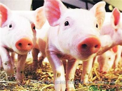 豬糞堆肥發酵技術要點