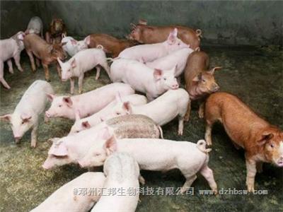 豬糞發酵制作有機肥有幾種方法