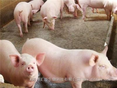 豬糞有機肥發酵過程如何不發臭？
